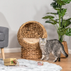 Simple Yet Practical Natural Braided Banana Leaf Elevated Cat Bed Basket With Cushion