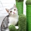 (Do Not Sell on Amazon) Cat Scratching Post Cactus Cat Scratcher Featuring with 3 Scratching Poles and Interactive Dangling Ball XH