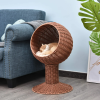 Modern Cat Bed Fancy Design Espresso Color Wicker Lounge